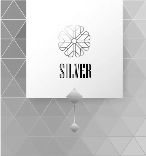 Silver Tier
